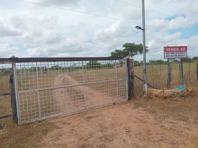 foto - Petrolina - Rajada