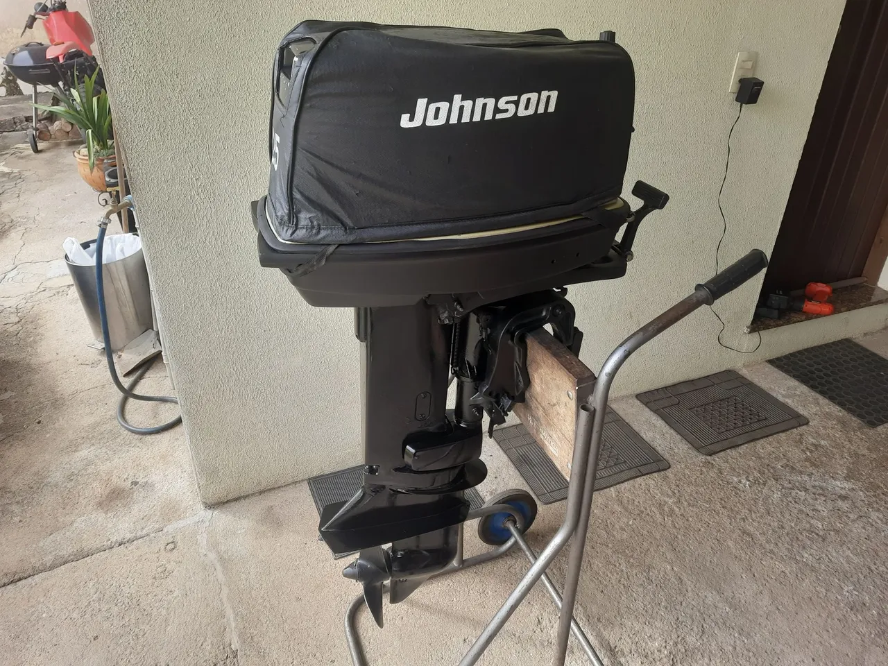 Motor Johnson 25HP ótimo torro