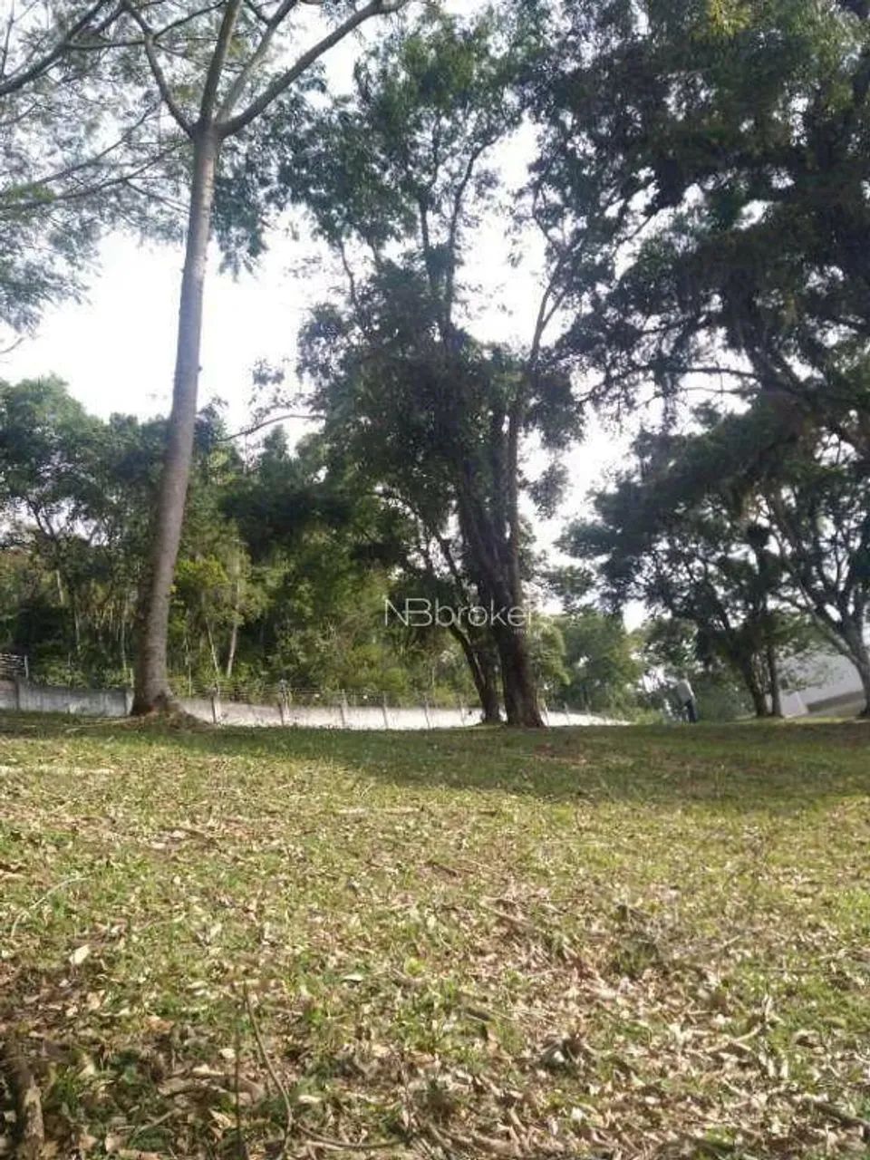 Terreno à venda, 450 m² por R$ 1.800.000,00 - Barra - Balneário Camboriú/SC - Foto 8