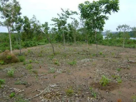 Chácara à venda, Area Rural, Porto Nacional, TO