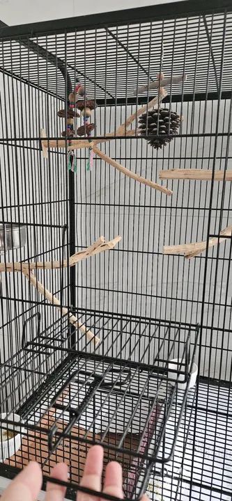 Gaiola para Pássaros - Foto 4