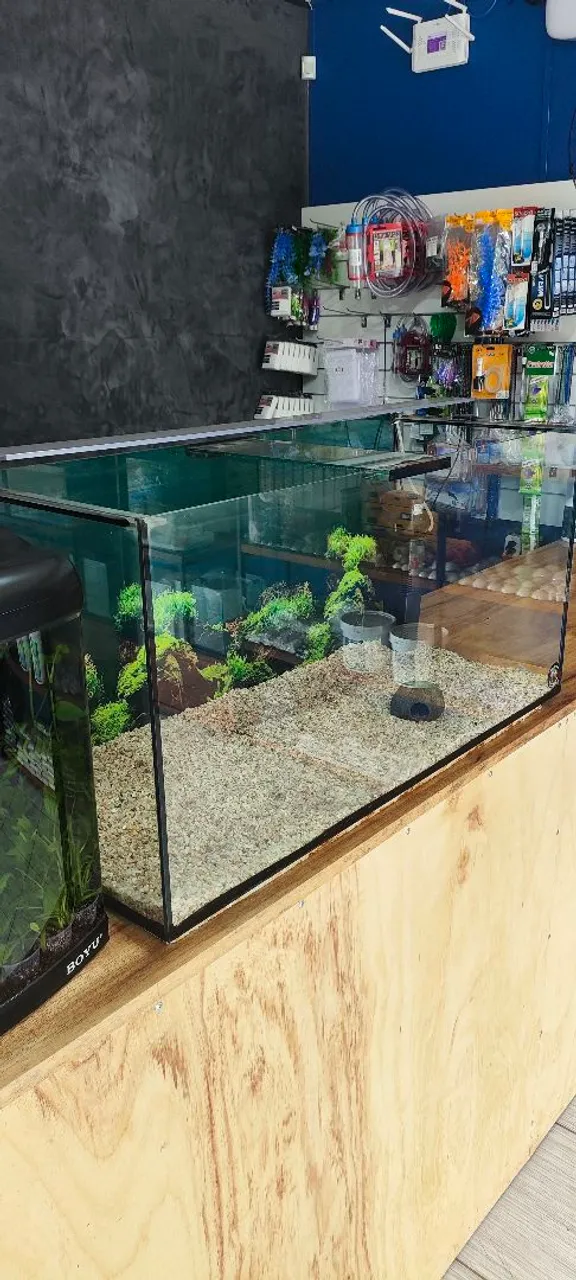 Aquário de 200L, Luminária e Filtro