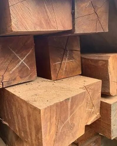 Mourao64962672689409120