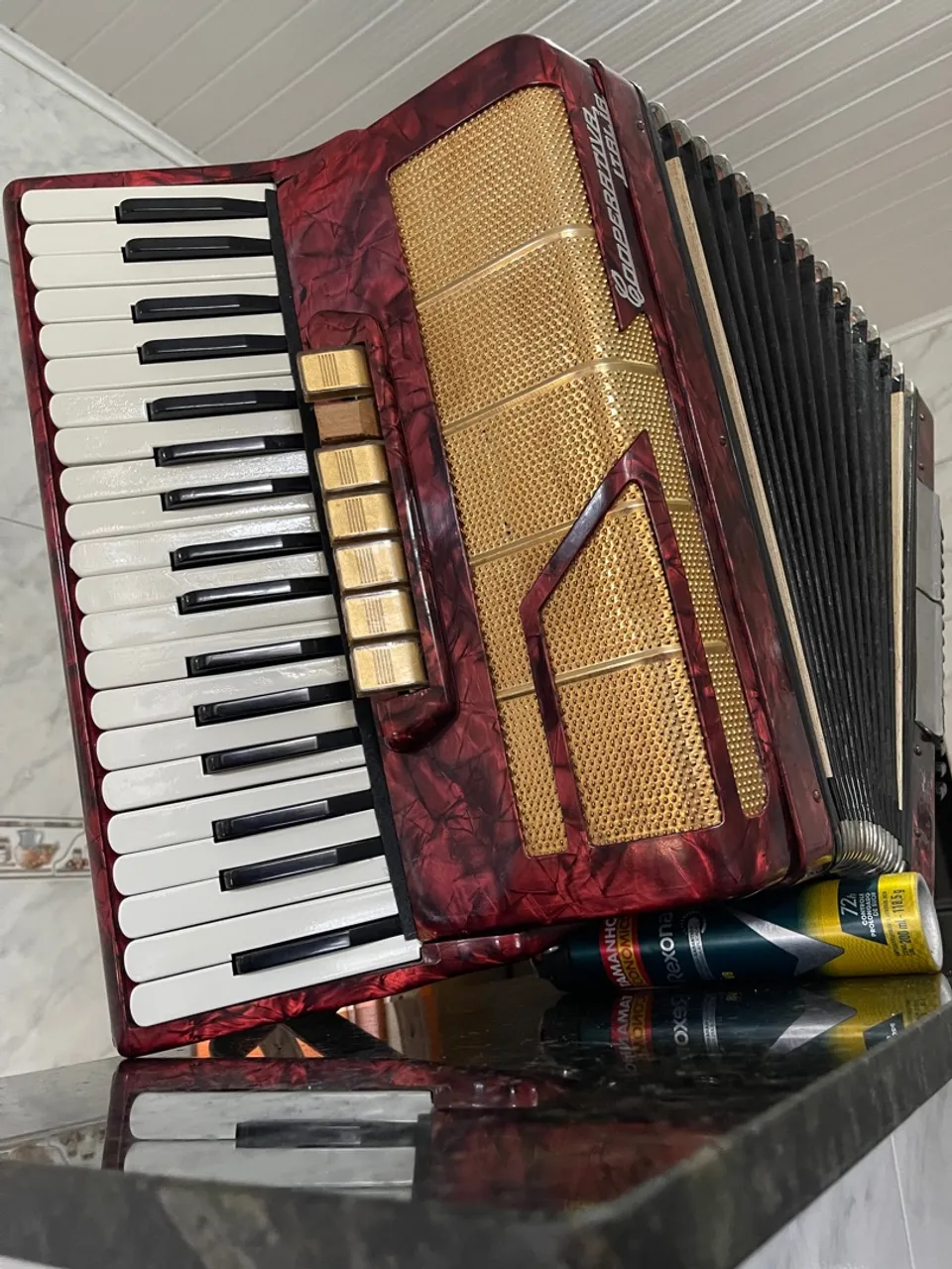 Sanfona acordeon
