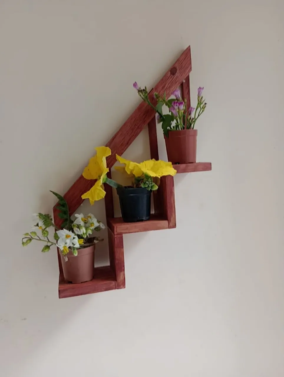 Prateleira Decorativa Para Plantas - Design Único