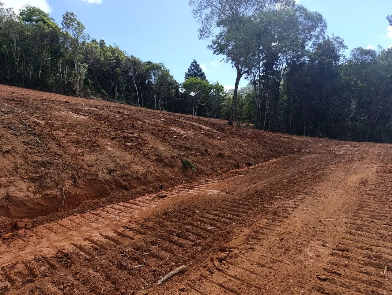 VENDO Lindo Terreno com 4000 m² - Bateias / Campo Largo - Foto 10