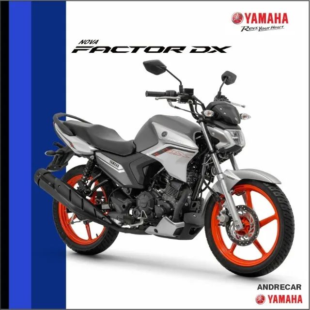 Factor 150 DX
