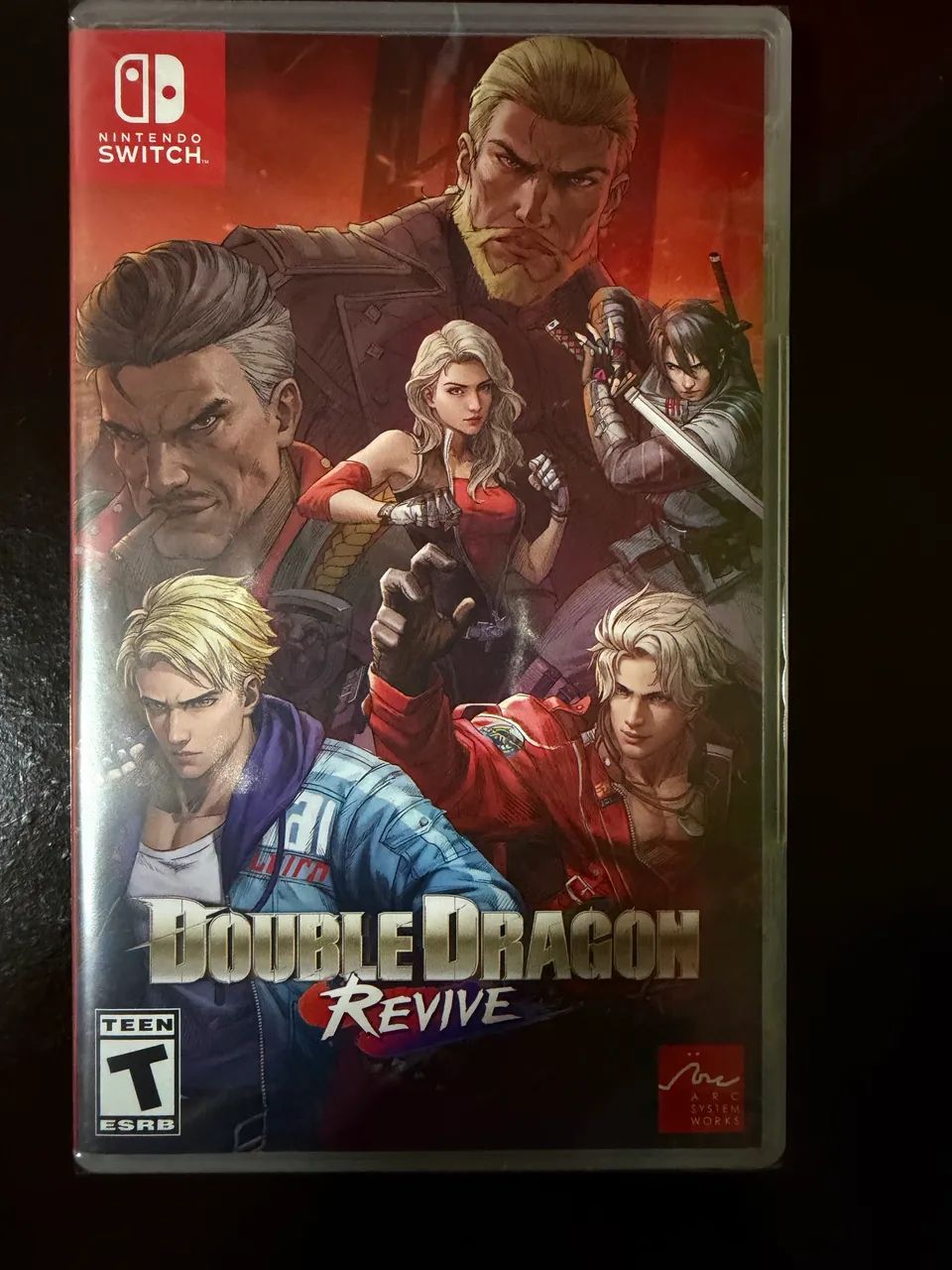 Double Dragon Switch - Jogos de Vídeo Game - Jardim Ipanema, Santo