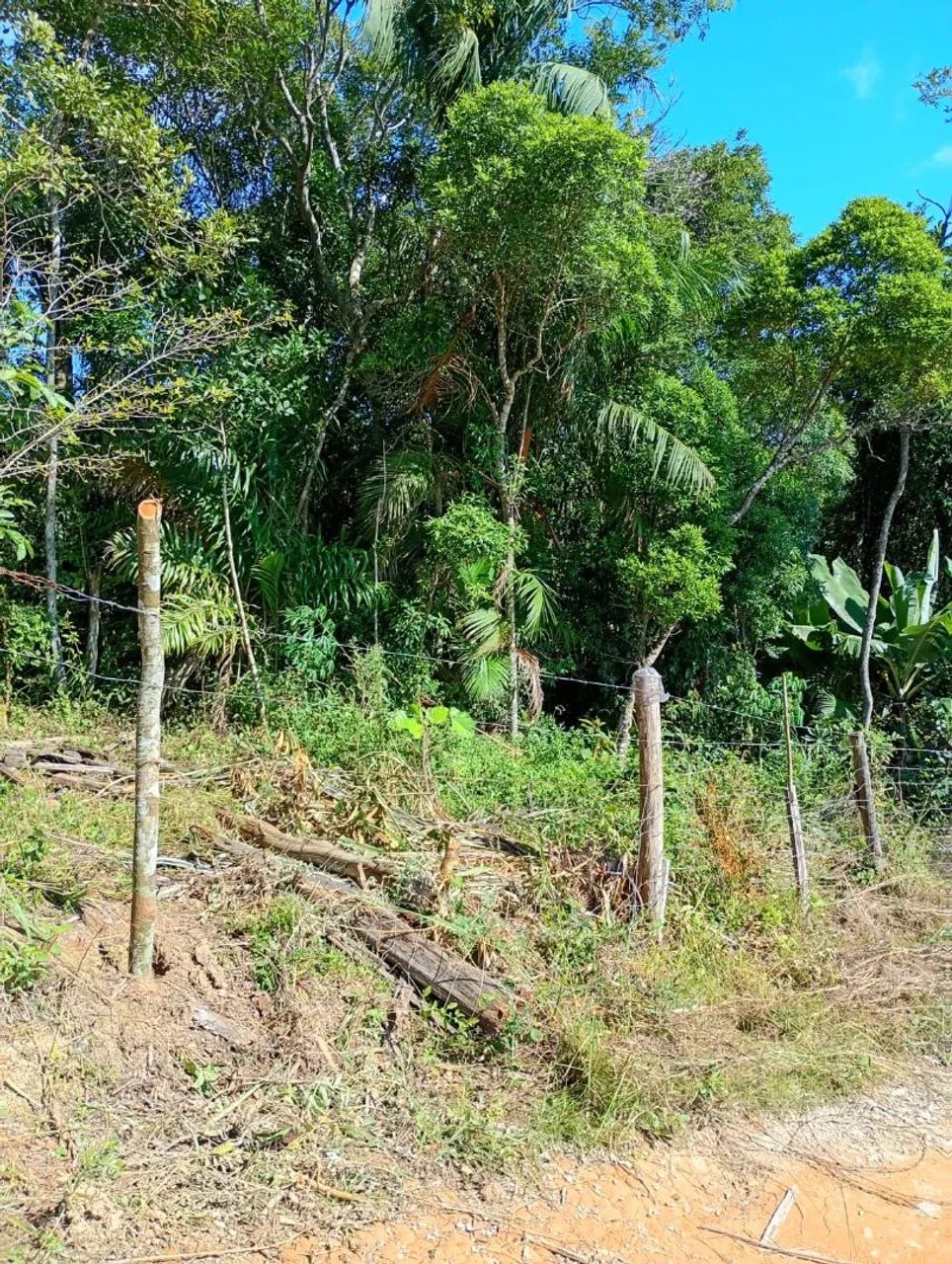 Foto - São José - Forquilhinha