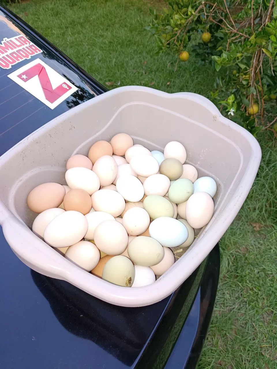 Ovos caipira