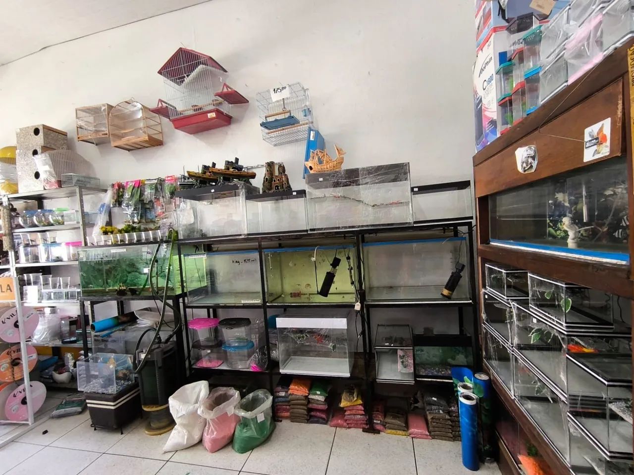 Loja agropecuária em Apucarana  - Foto 5