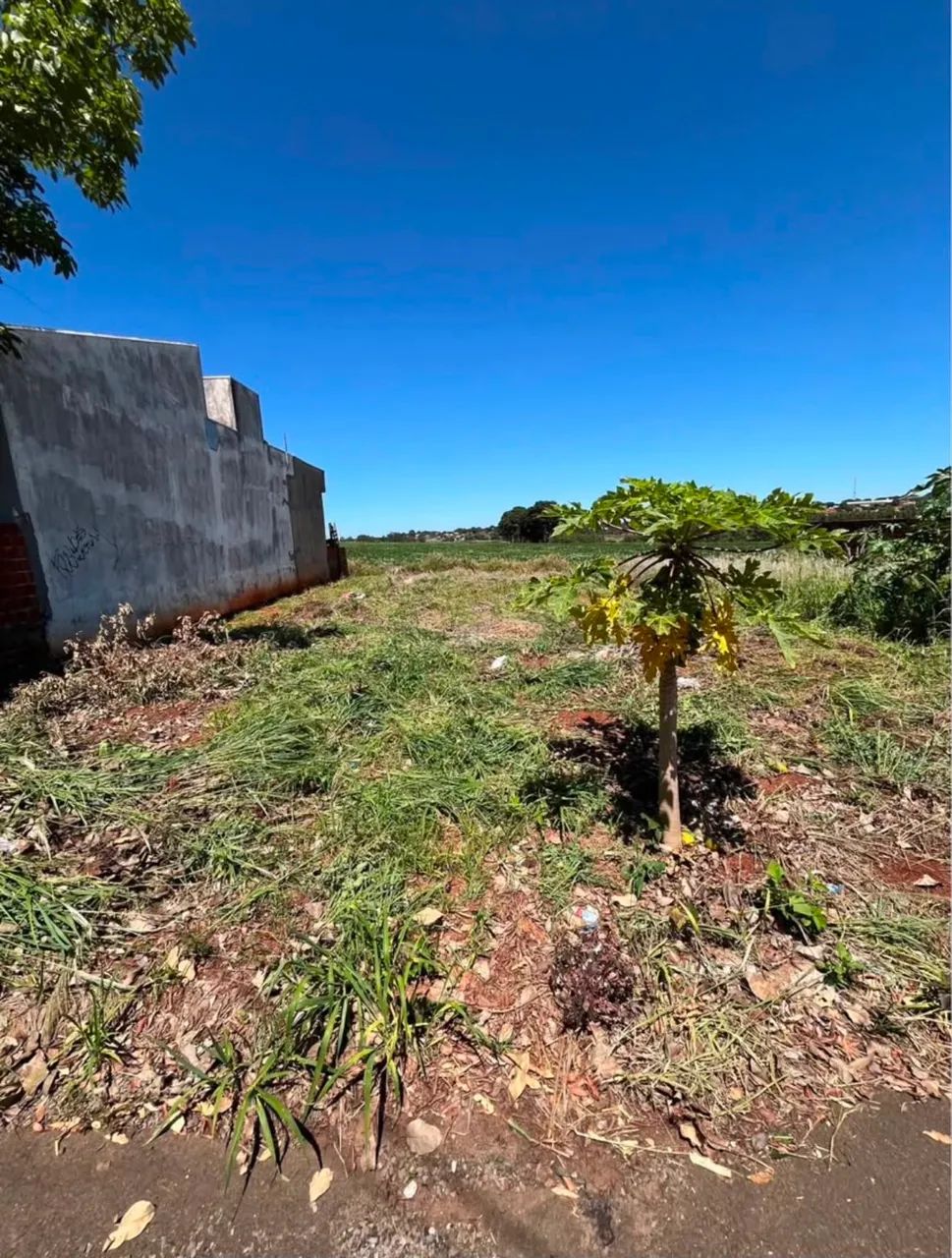 Vendo terreno conjunto hilario terra boa  - Foto 5