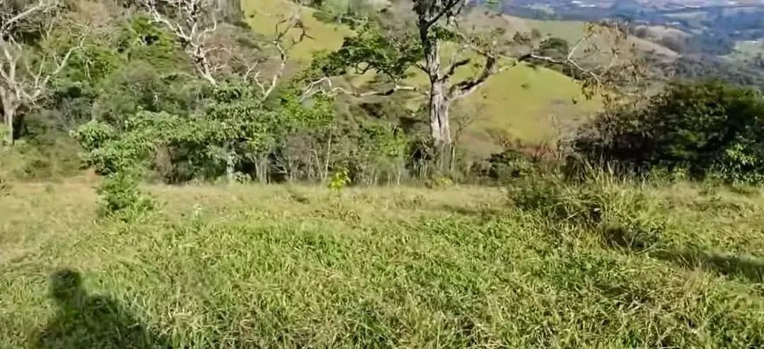 Estância Alto da Serra - Foto 5