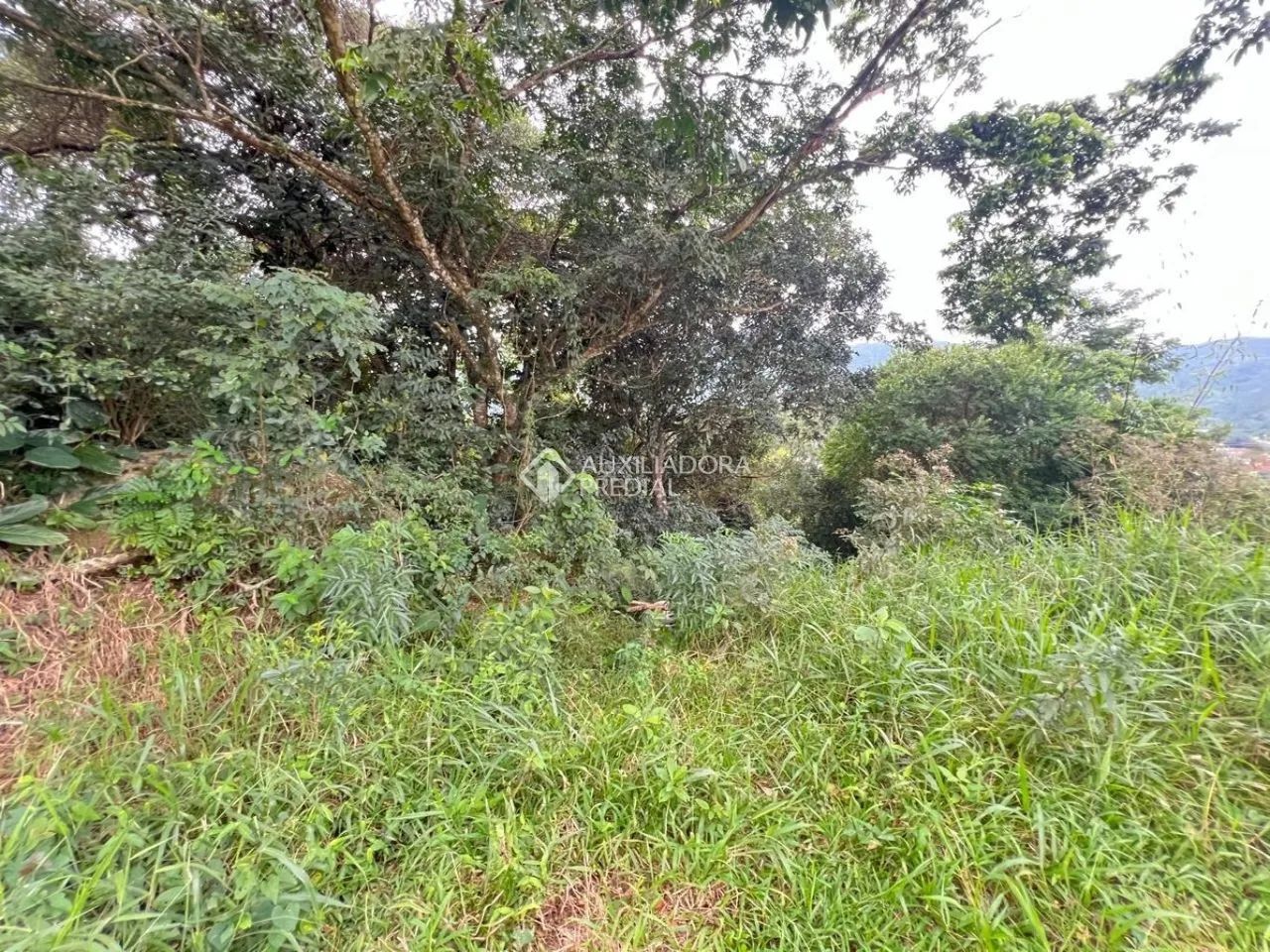 Terreno à venda no Itacorubi - Florianópolis | 622 m² - Foto 4