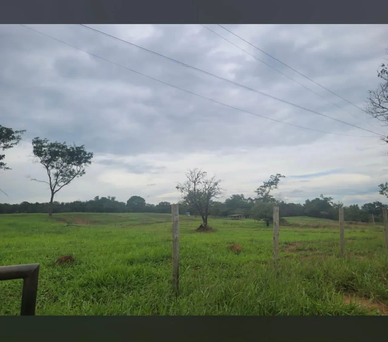 Sítio  a venda próximo Uberlândia 1.200.000,00 - Foto 5