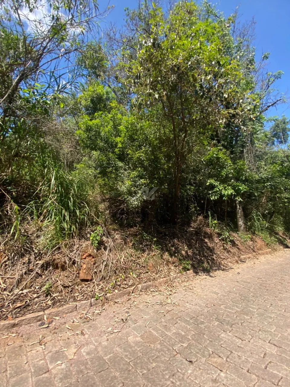 terreno - Sousas - Campinas - Foto 4
