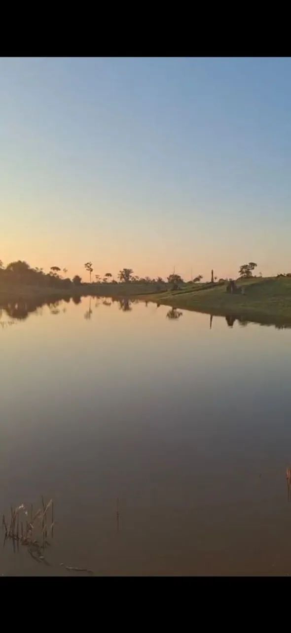 Terra -a venda oportunidade! - Foto 4