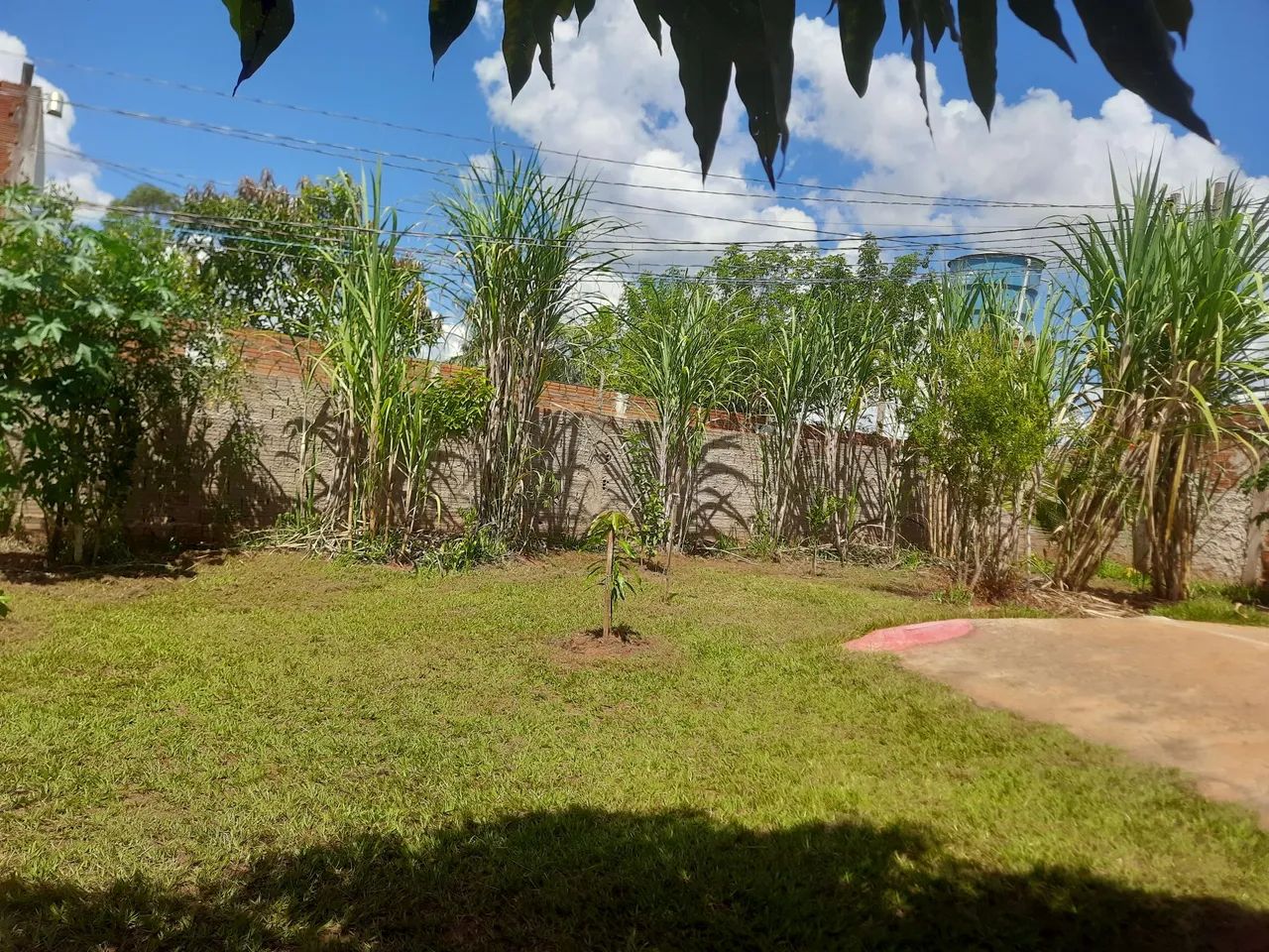 Chácara em Alfredo Marcondes - Foto 4