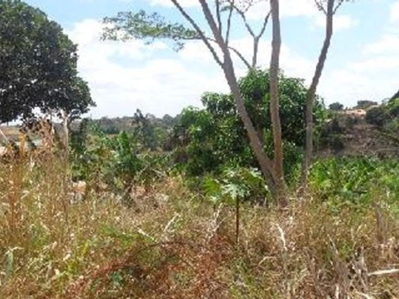 Terreno 600 m² - Centro - Sítio Novo - MA - Foto 5