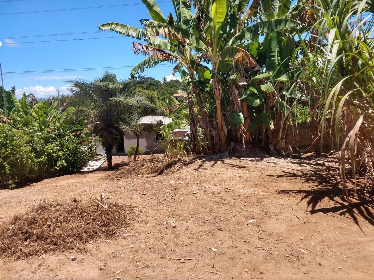 Vendo um sitio com 3 casas. - Foto 3
