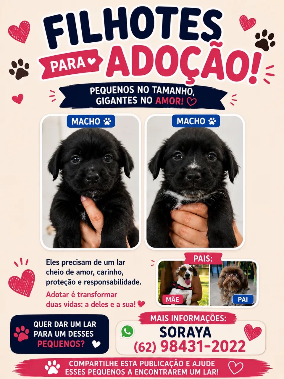 Doação de cachorros  - Foto 4