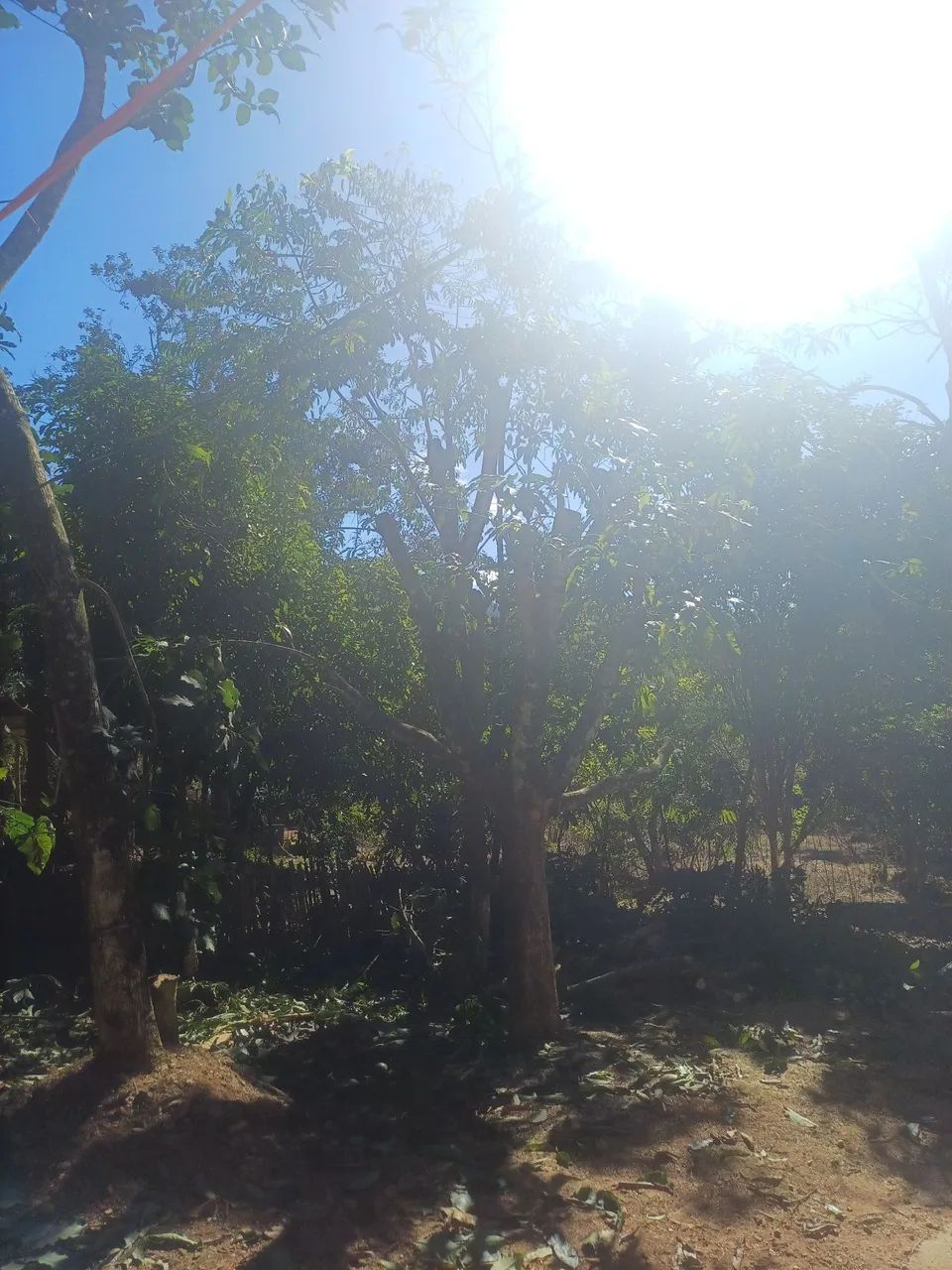 Lote em Beltrao - Foto 2