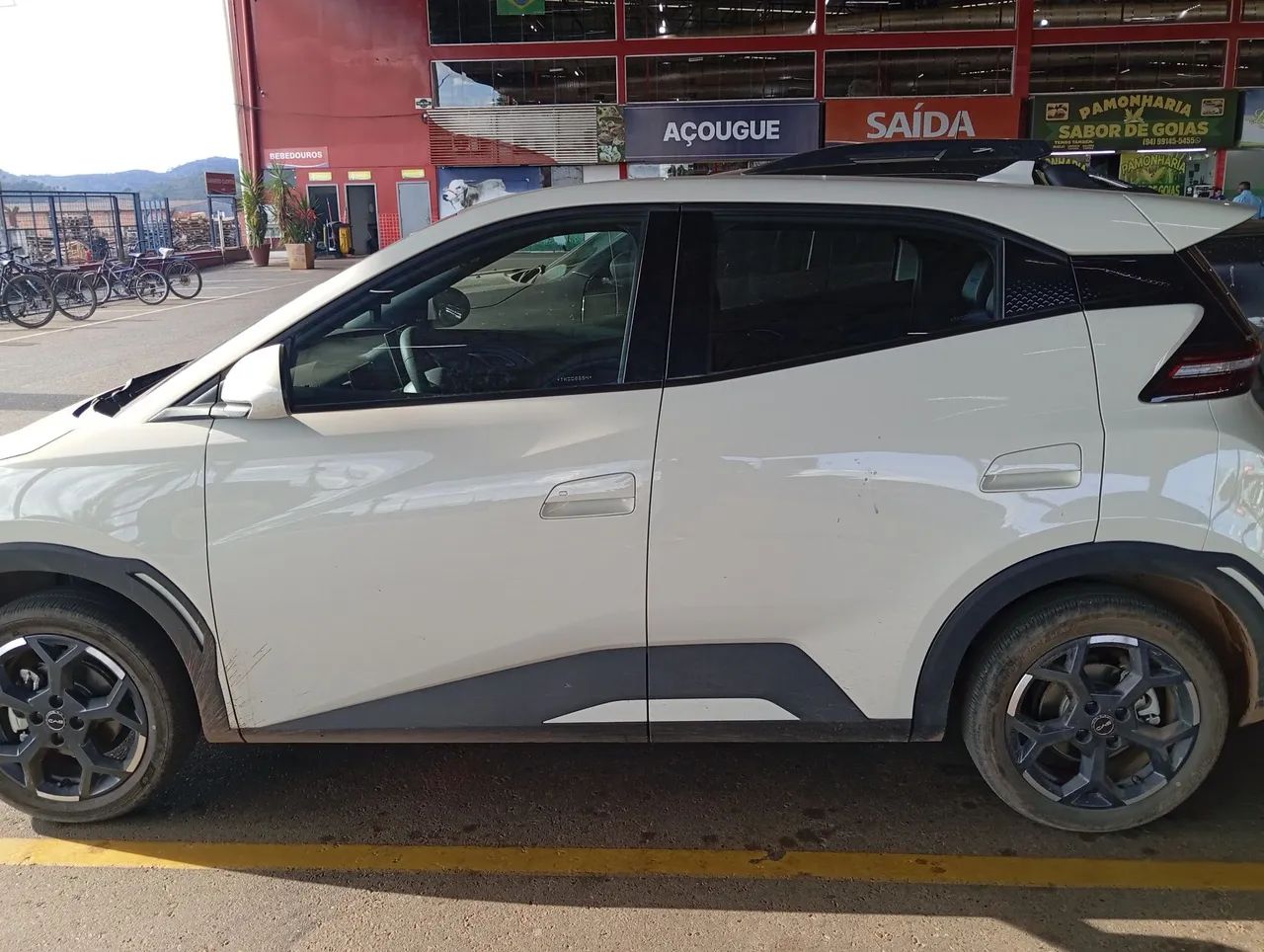 BYD Dolphin Mini GL 2026 - Foto 3