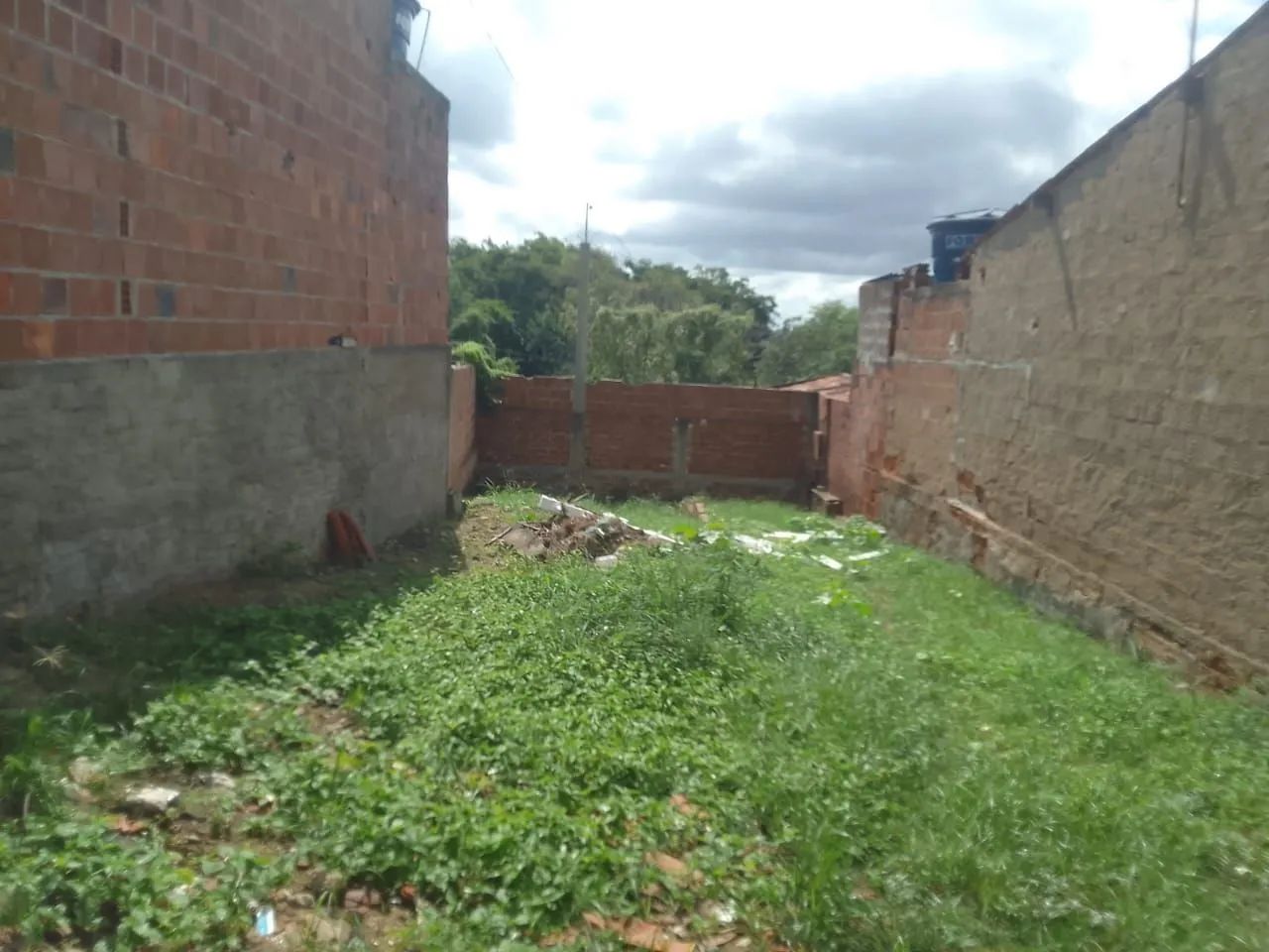 TERRENO EM LIMOEIRO  - Foto 5