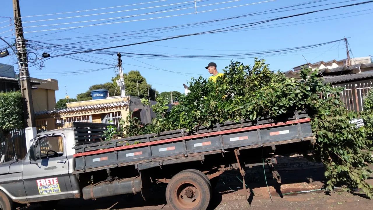 Prestação de Serviços de Jardinagem  - Foto 5