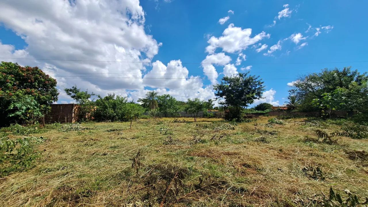 Foto - Ribeirão Preto - Centro