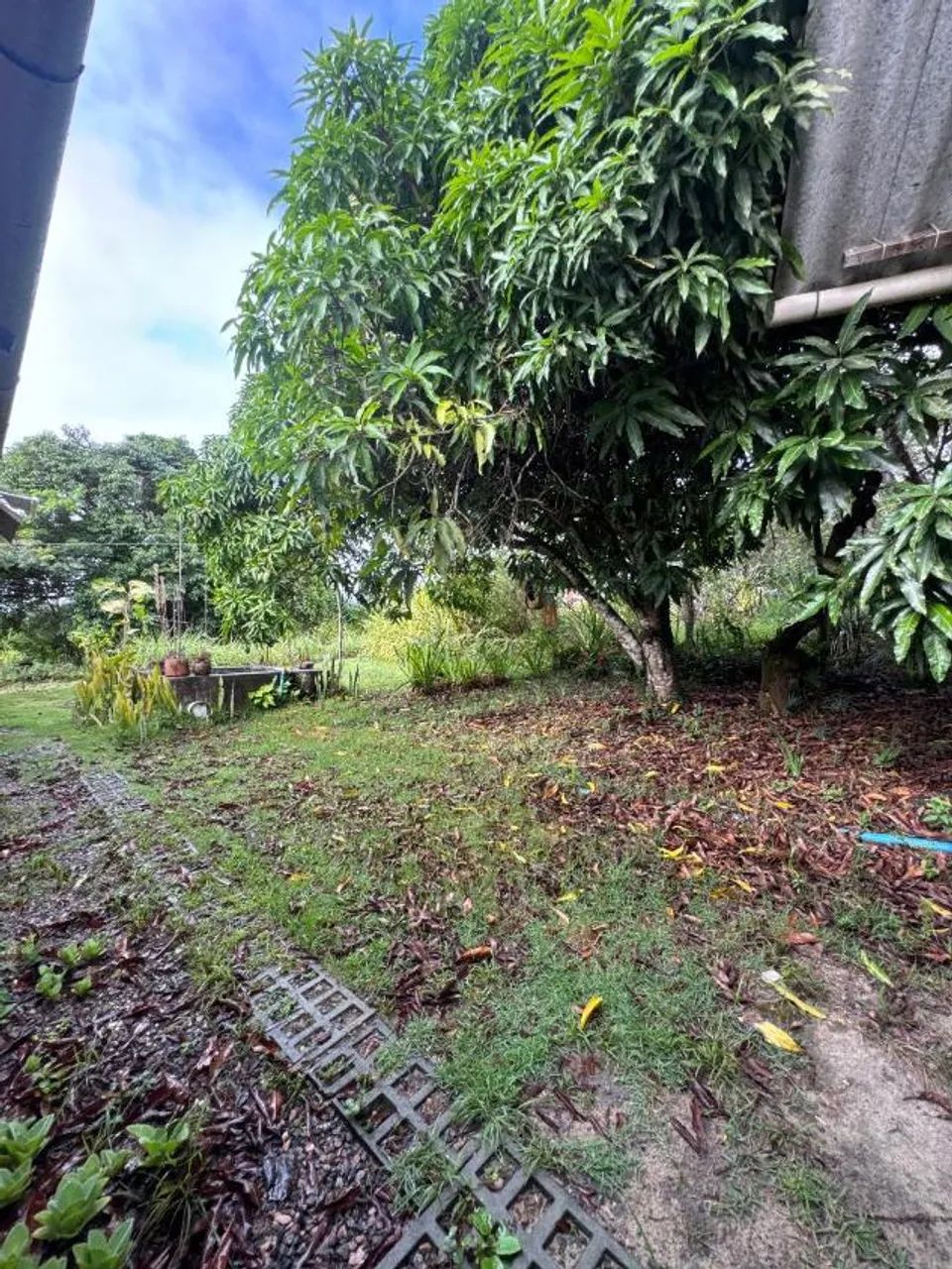 7.75 Hectares | Sítio | 06 quartos | R$ 680 mil | Chã Grande - Foto 3