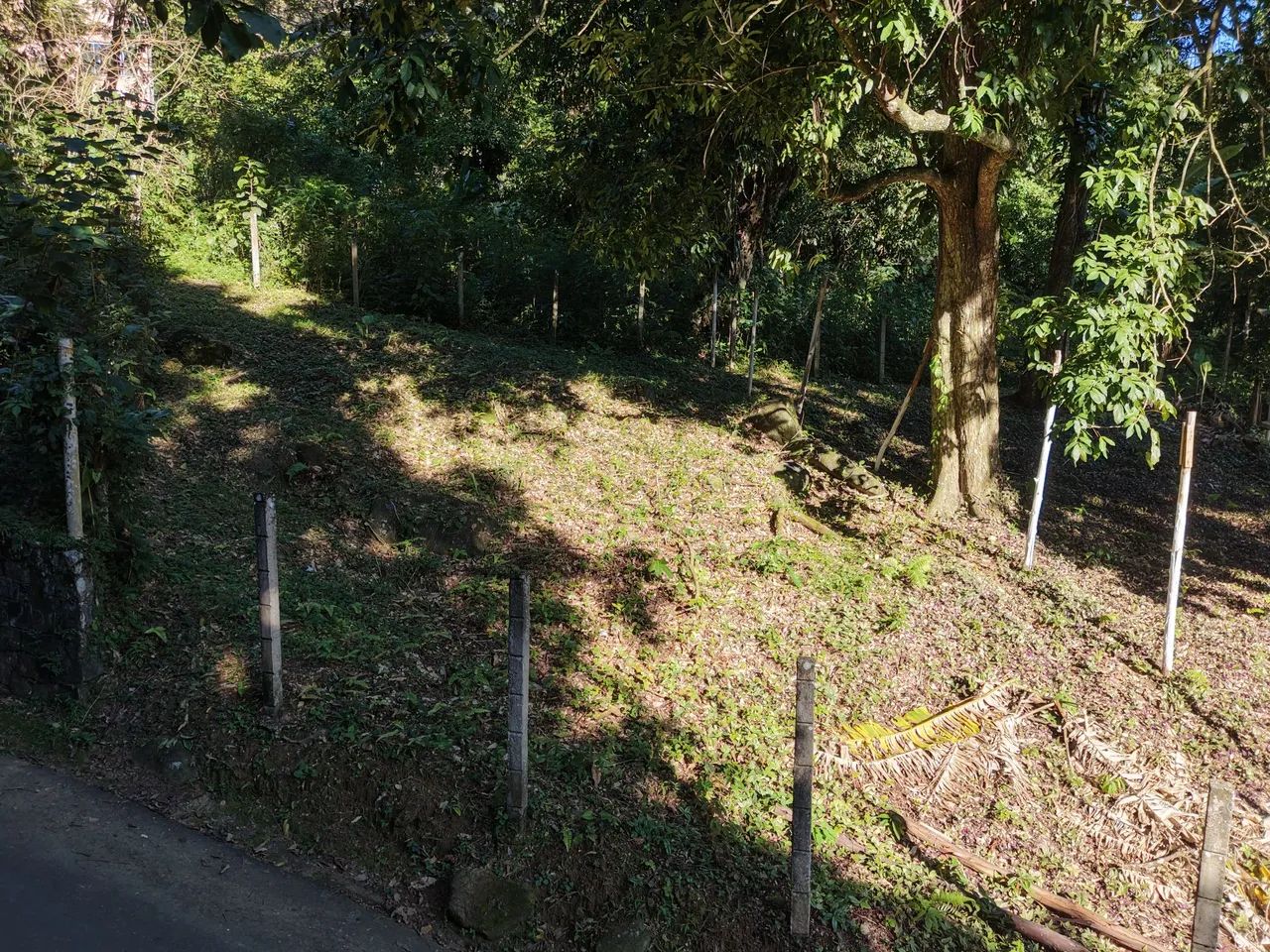 2 Terrenos a venda  - Foto 2