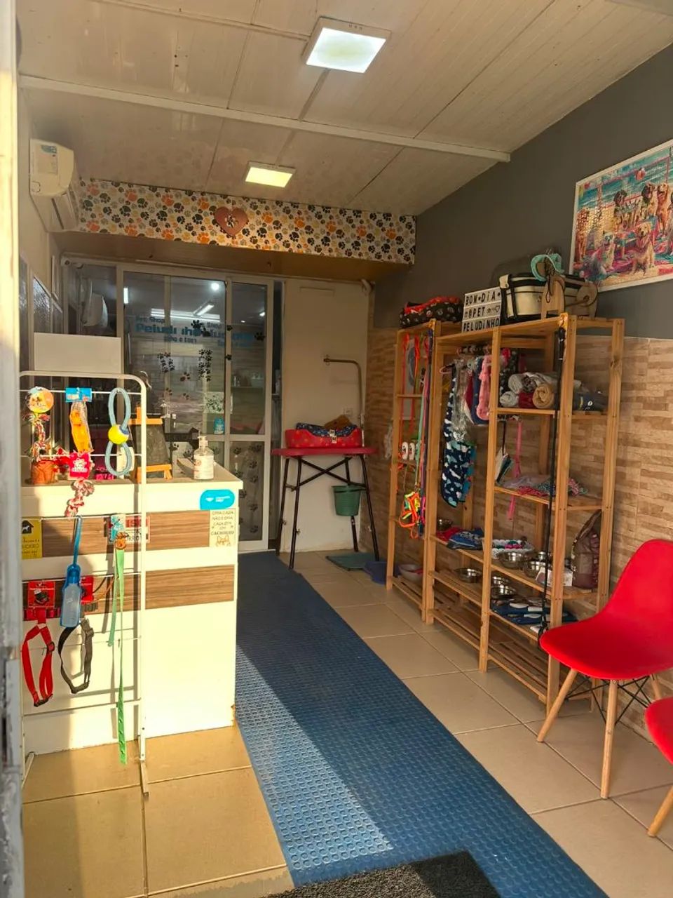 Arrendo Pet Shop no Campeche  - Foto 3