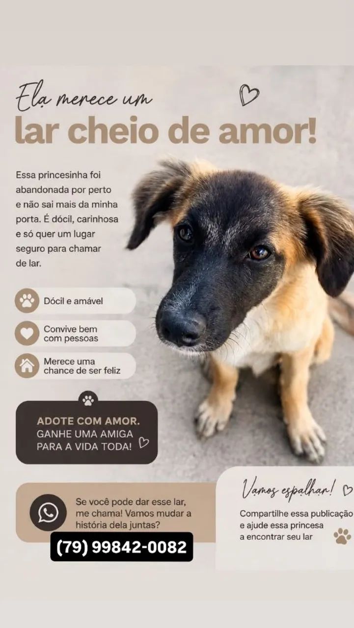 Adoção responsável  - Foto 4