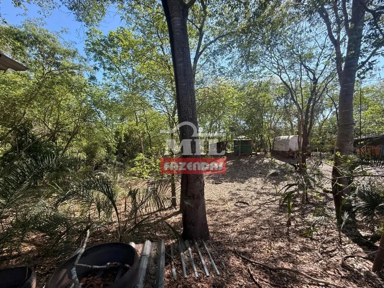 Rancho de pesca 2500 M² Arenópolis - Go - Foto 4
