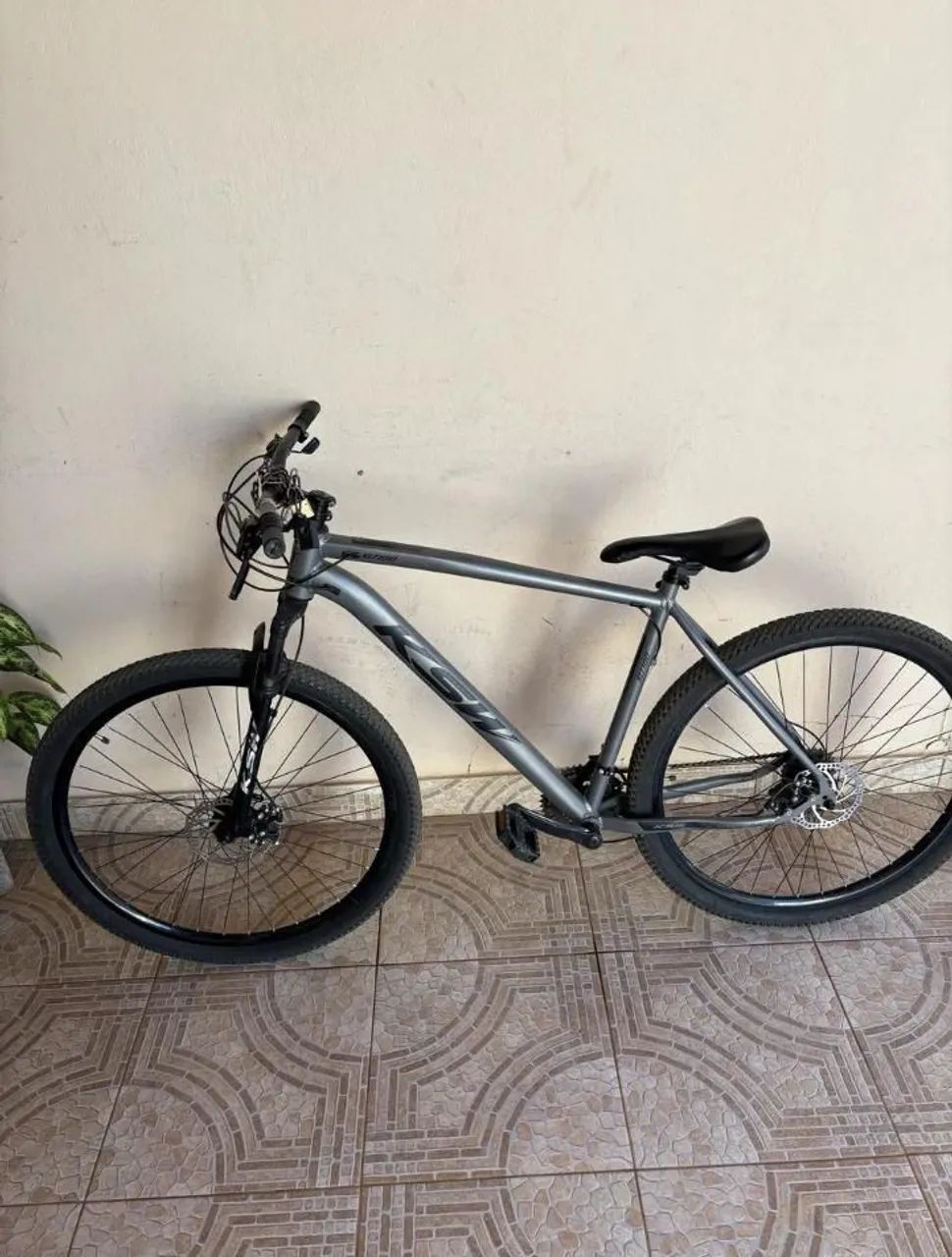 ARO 29