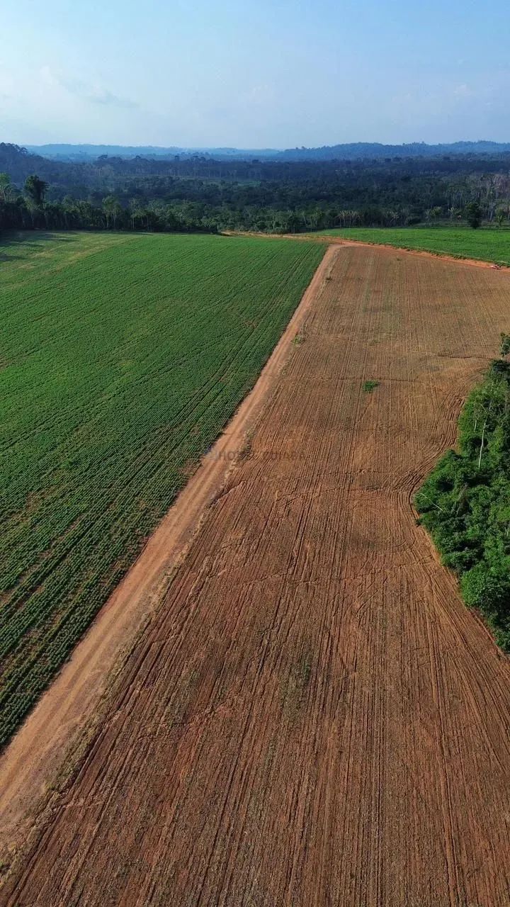 VENDO  FAZENDA EM NOVA MONTE VERDE/MT - Foto 4