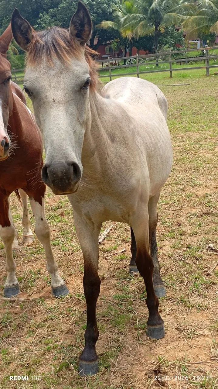 Vendo ou negocio  - Foto 3