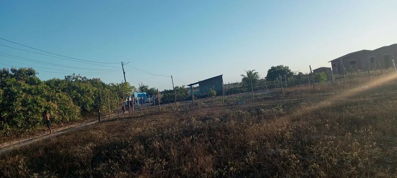 Terreno  - Foto 5