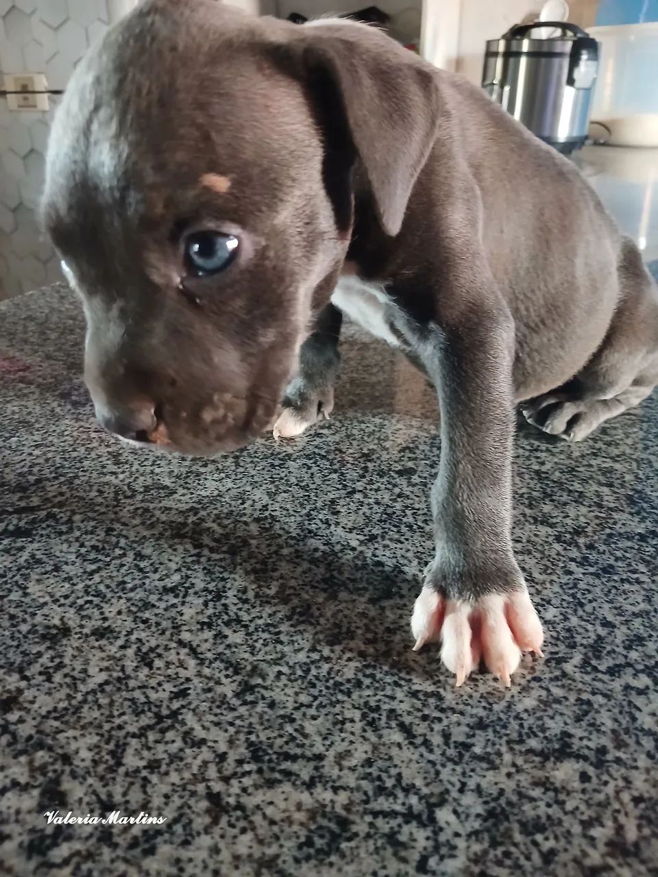 Vendo  - Foto 2