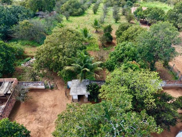 Sítio com casa e fruteiras próximo à Serra das Pias em Palmeira dos Índios - Foto 5