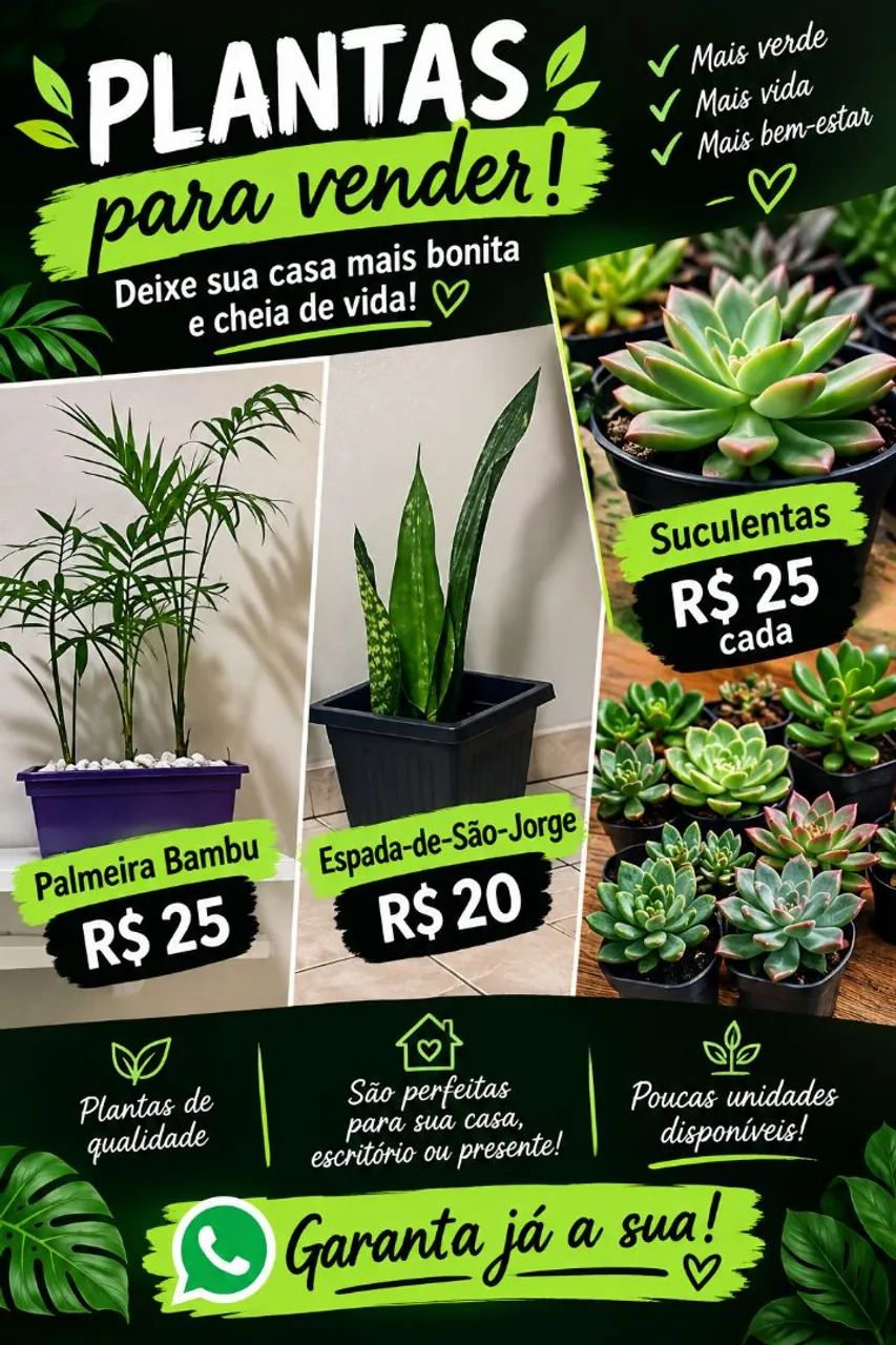 Planta 