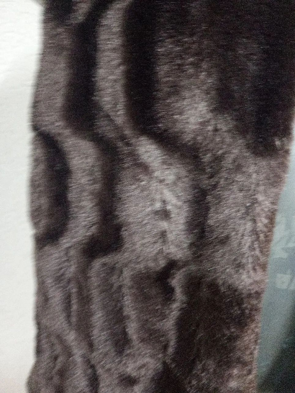Colete  - Foto 5