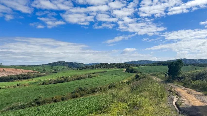 Fazenda com 101 hectares - Santa Catarina - Foto 2
