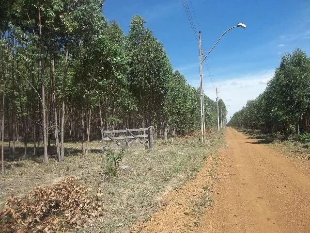 Chácaras em Alexânia - Meio Alqueire - - Foto 4