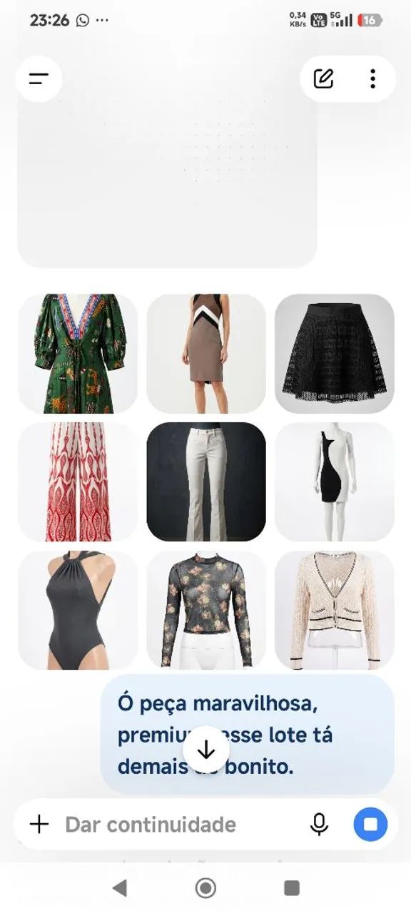 Lote Roupas Femininas Grifes