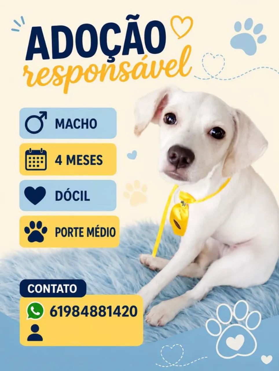 Cão filhote