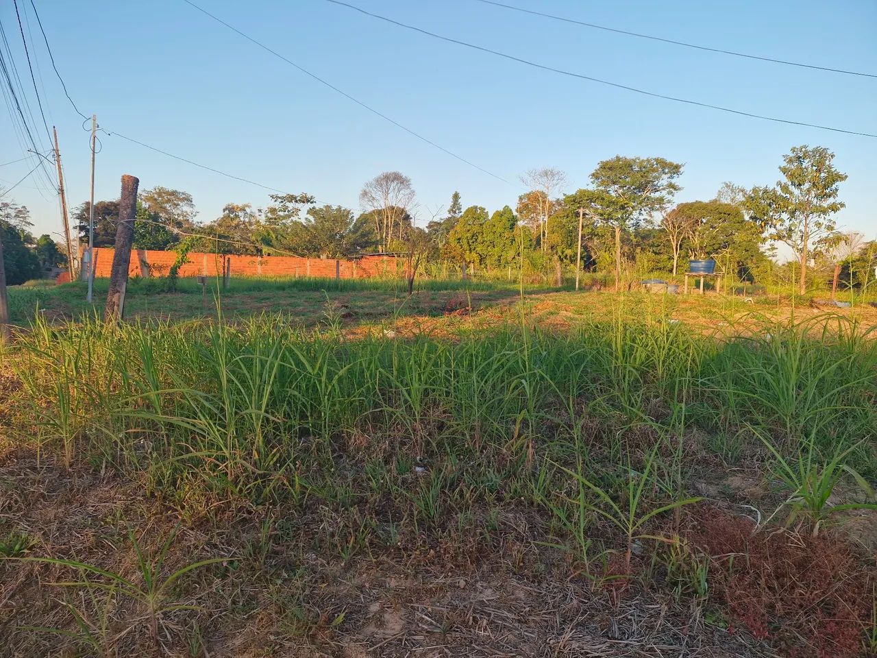 Terreno  - Foto 3
