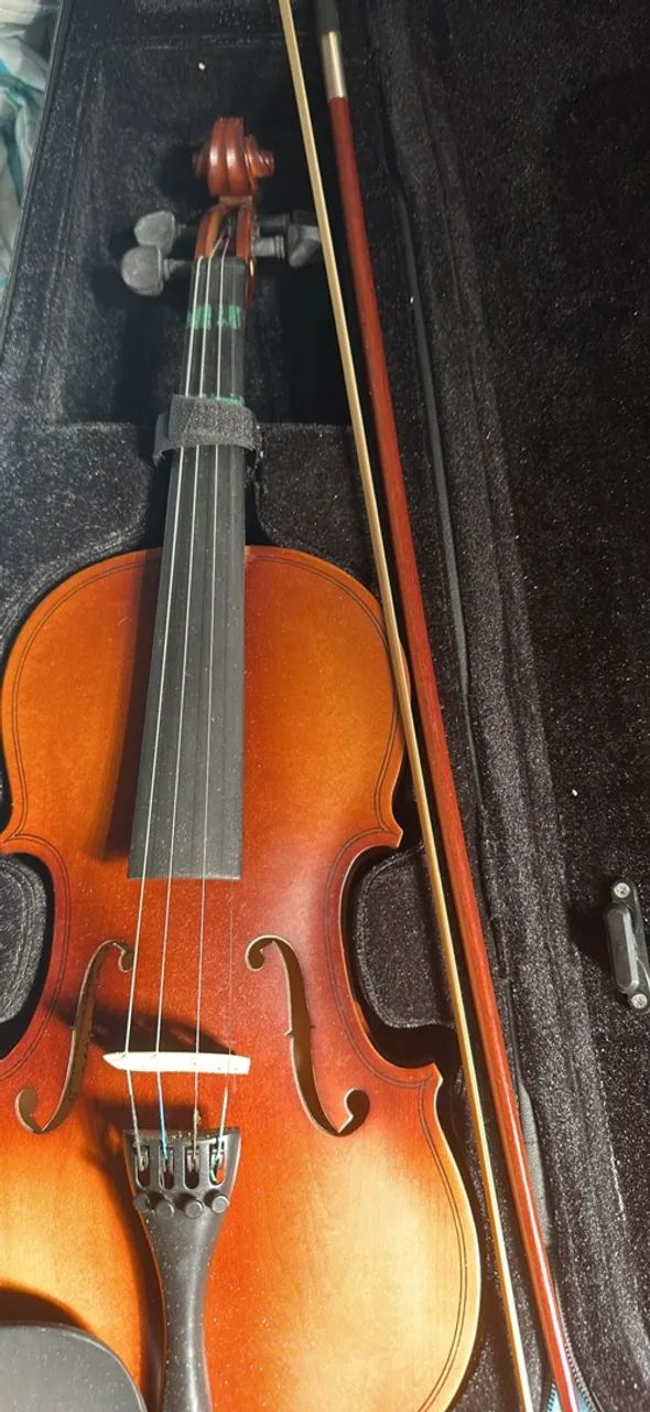 Violino