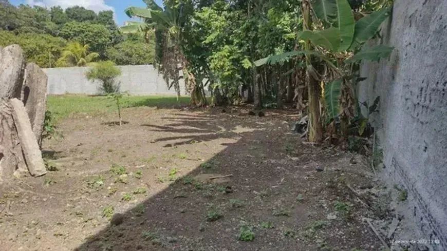 terreno murado em aldeia - Foto 4